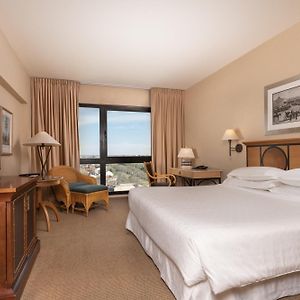 Guest room 1 King City view